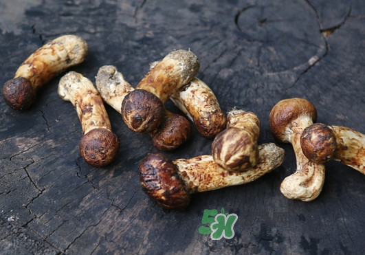 新鮮松茸怎么吃？松茸怎么吃最有營養(yǎng)