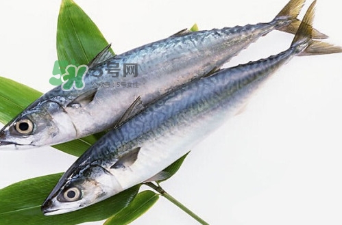 一般鳡魚能長到多大？鳡魚與假鳡魚怎么區(qū)分