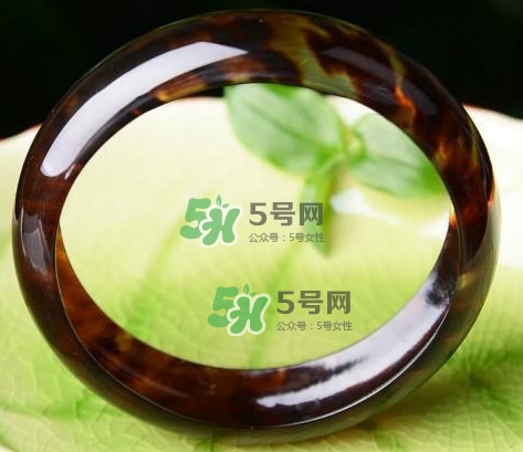 玳瑁是什么？玳瑁是國家保護動物嗎？