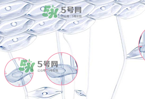 嬌韻詩青春賦活兩件套裝多少錢？嬌韻詩全新青春賦活系列怎么樣？