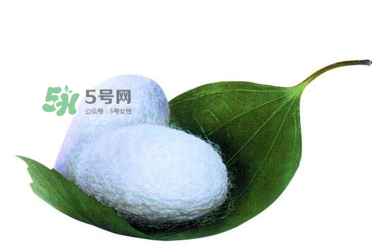 蠶繭多少錢(qián)一斤2017？2017年蠶繭價(jià)格是多少？