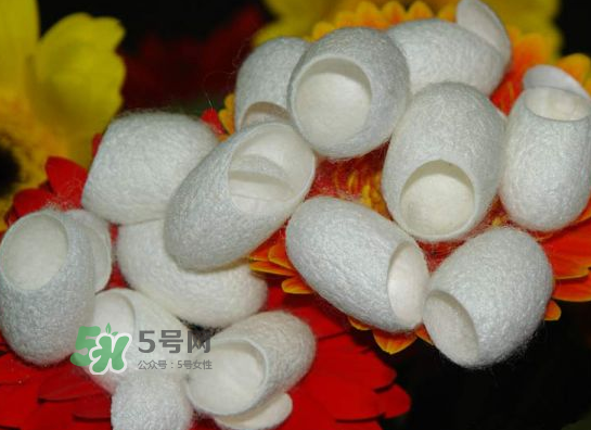 蠶繭多少錢(qián)一斤2017？2017年蠶繭價(jià)格是多少？