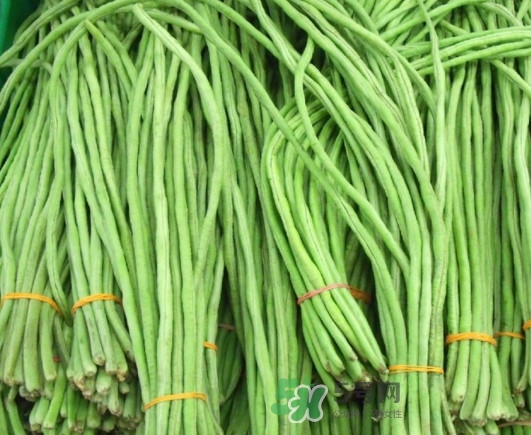 缸豆沒熟能吃嗎？酸缸豆怎么腌制的