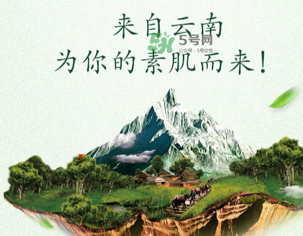 采之汲是什么牌子？采之汲是什么檔次？
