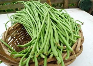 缸豆可以包餃子嗎？缸豆能放冰箱嗎