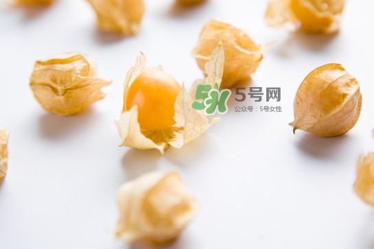 菇娘是寒性還是熱性？菇娘是哪里產(chǎn)的