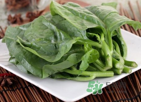 木耳菜和什么食物相克？木耳菜不能和什么一起吃