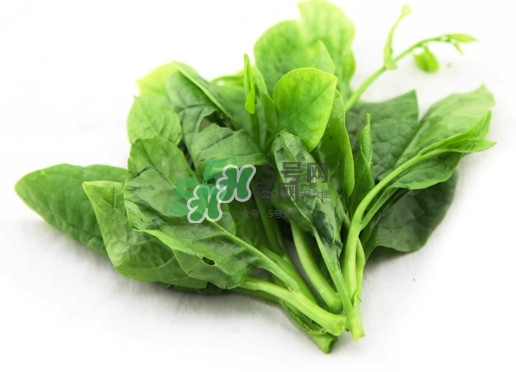 木耳菜怎么清洗？木耳菜怎么擇？