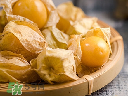 姑娘果可以直接吃嗎？姑娘果多吃有什么害處