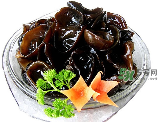 木耳菜是什么季節(jié)的菜？木耳和木耳菜有區(qū)別嗎