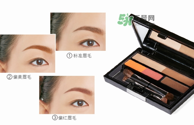 ipsa五色眉粉怎么用？ipsa茵芙莎五色眉粉使用方法