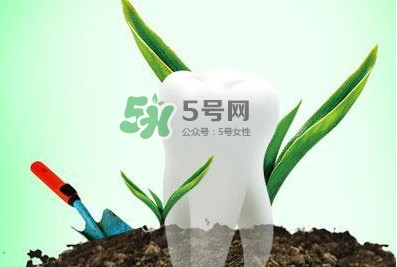 種植牙多少錢(qián)一顆？為什么種植牙很貴