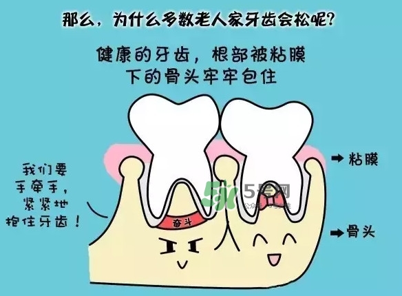 牙齒松動(dòng)會(huì)自己好嗎？牙齒松動(dòng)會(huì)自己掉嗎