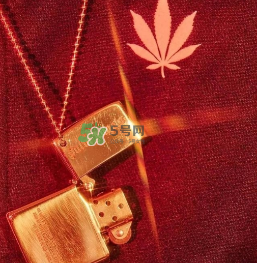 palm angels是什么牌子_哪個(gè)國家的_什么檔次？
