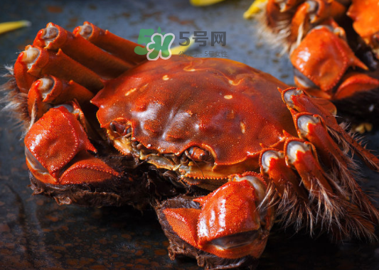 2017年陽澄湖大閘蟹多少錢一斤？2017陽澄湖大閘蟹價(jià)格