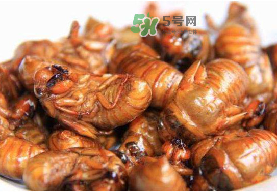 立秋后的知了還能吃嗎？立秋還有知了猴嗎？