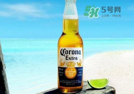 科羅娜啤酒多少錢一瓶？科羅娜啤酒好喝嗎