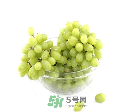 馬奶葡萄是提子嗎？馬奶葡萄怎么洗？