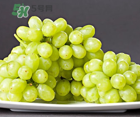馬奶葡萄是只有新疆有嗎？綠馬奶葡萄為什么發(fā)澀