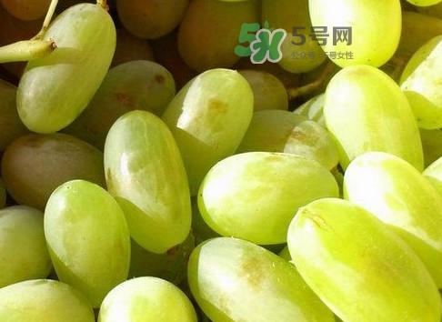 馬奶葡萄是提子嗎？馬奶葡萄怎么洗？