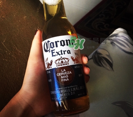 科羅娜啤酒多少度？科羅娜啤酒怎么樣