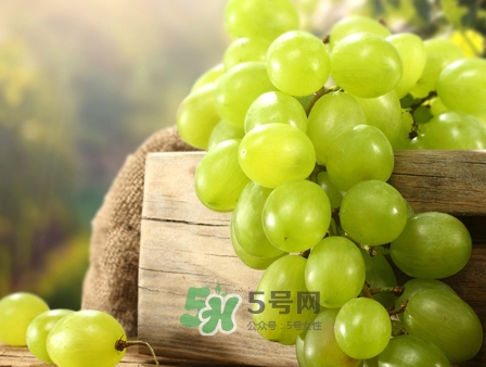 馬奶葡萄幾月成熟？吃馬奶葡萄有什么好處？