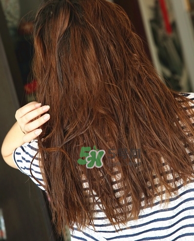hair recipe水果洗發(fā)水怎么樣？hair recipe洗發(fā)水哪款好用