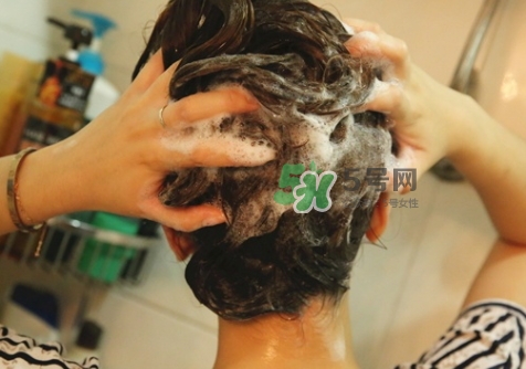 hair recipe洗發(fā)水多少錢？hair recipe水果洗發(fā)水保質(zhì)期