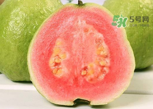 紅芭樂怎么吃？芭樂是熱的還是涼的