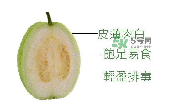 芭樂是什么季節(jié)的水果？芭樂什么時候吃最好