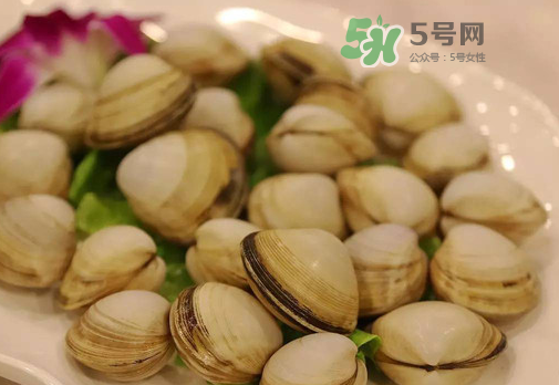 花蛤可以放冰箱冷凍嗎？花蛤放冰箱保鮮能吃嗎？