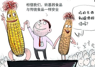 雜交水稻是不是轉(zhuǎn)基因？轉(zhuǎn)基因食品有哪些？