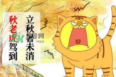 秋老虎熱嗎？末伏熱還是秋老虎熱？