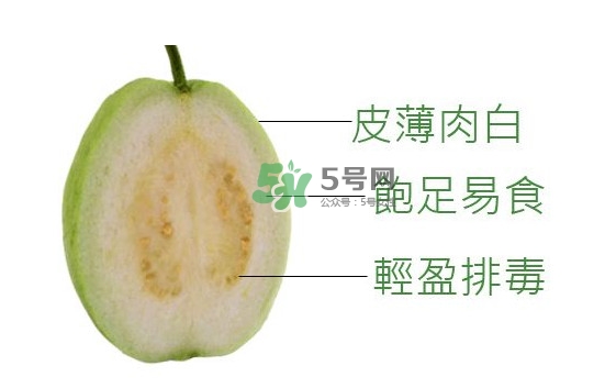 芭樂可以減肥嗎？吃芭樂可以喝牛奶嗎？
