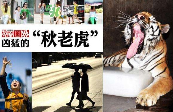 秋老虎有多熱？秋老虎一般是怎么算的？