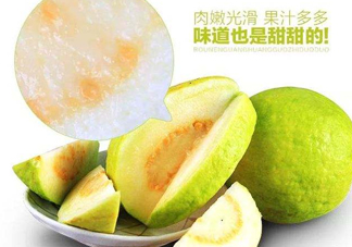 芭樂和番石榴有什么區(qū)別？芭樂和番石榴的區(qū)別