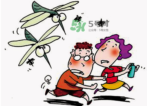 八月份還有蚊子嗎？八月份蚊子多嗎？