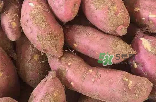 地瓜發(fā)芽了怎么種盆栽？拔絲地瓜怎么熬糖