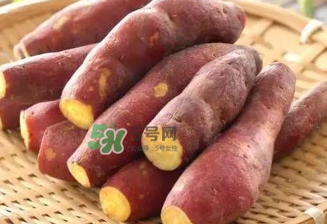 地瓜怎么做好吃？地瓜怎么吃好吃