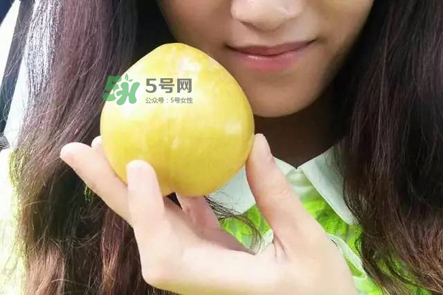 奈李是什么水果？奈李為什么會(huì)空心