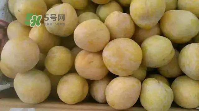 奈李是什么水果？奈李為什么會(huì)空心