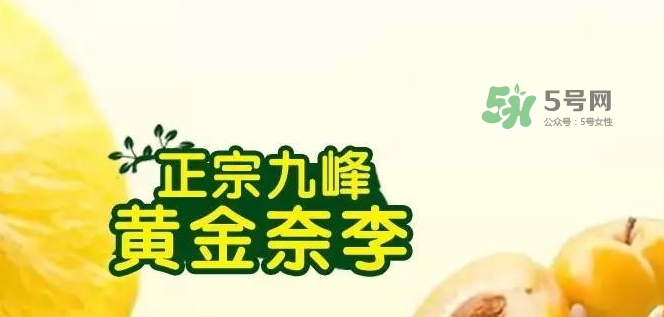 黃金奈李多少錢一斤？黃金奈李價格