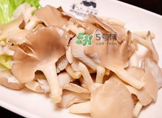 秀珍菇孕婦可以吃嗎？孕婦能吃秀珍菇嗎
