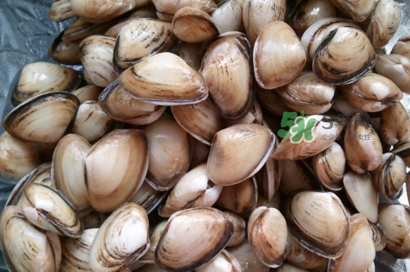 海瓜子多少錢(qián)一斤？西湖撈起的海瓜子能吃嗎