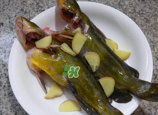 黃刺魚幾月份最好釣？黃刺魚怎么釣