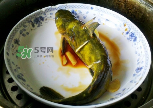 黃刺魚怎么殺？黃刺魚怎么處理