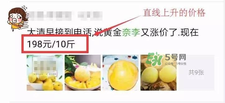 黃金奈李多少錢一斤？黃金奈李價格