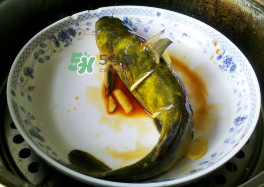 黃刺魚死了能吃嗎？黃刺魚不能與什么同食
