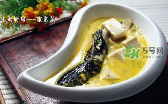 黃刺魚怎么殺？黃刺魚怎么處理