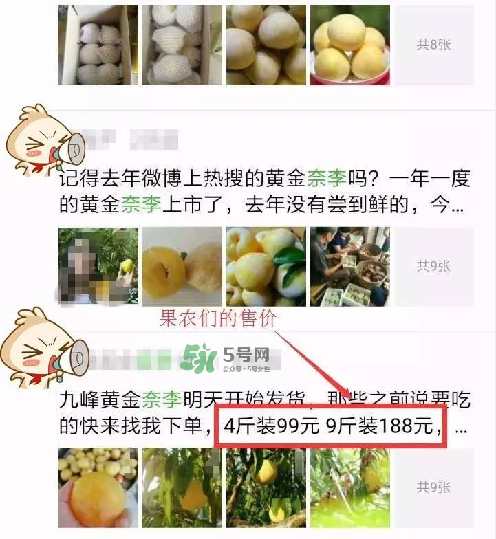 黃金奈李多少錢一斤？黃金奈李價格
